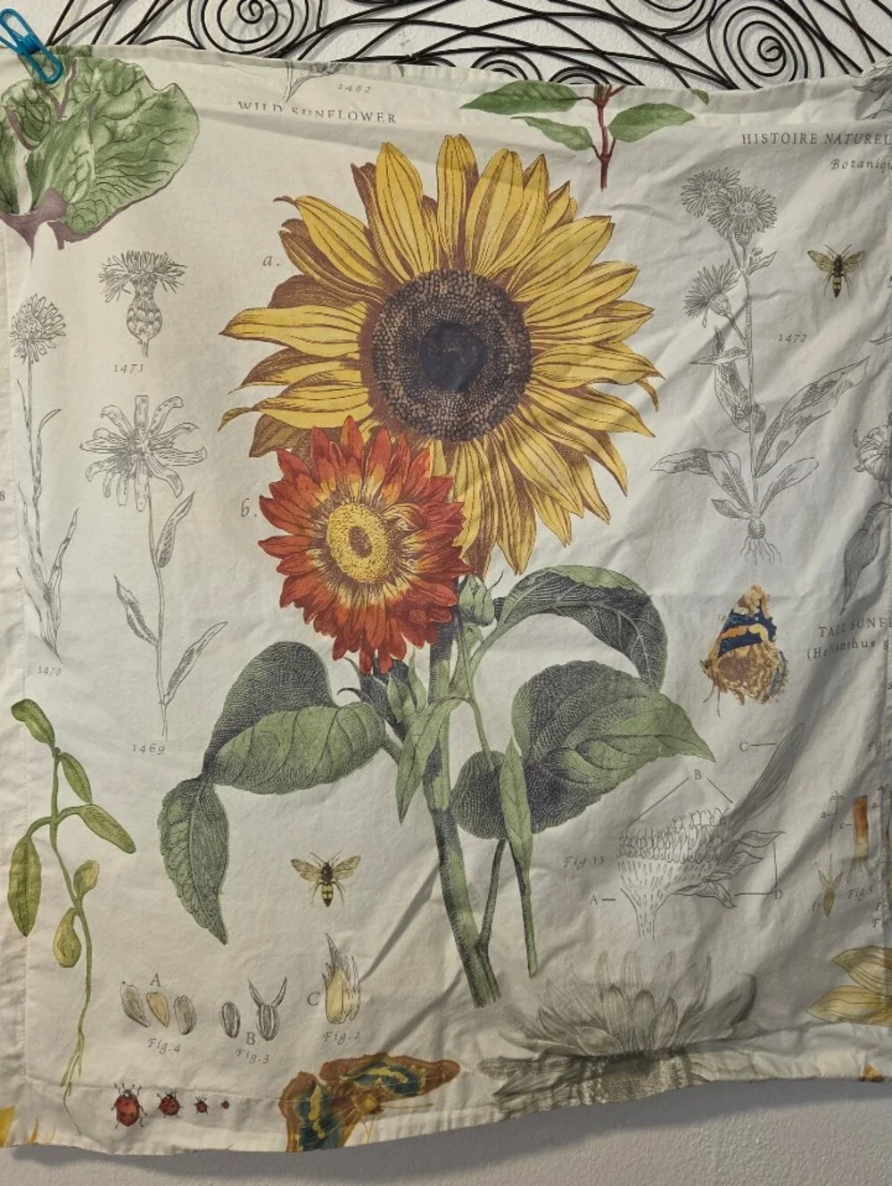 Pottery Barn Cara Sunflower Organic Percale Queen Duvet Cover + 2 Euro Shams
